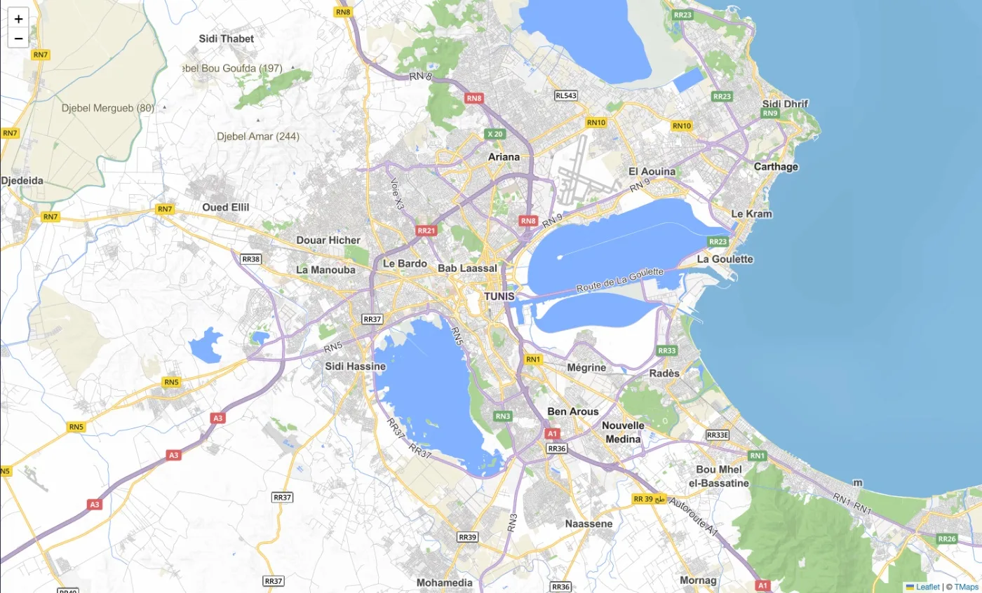 Carte de la Tunisie sur un site : clé, domaines et coût