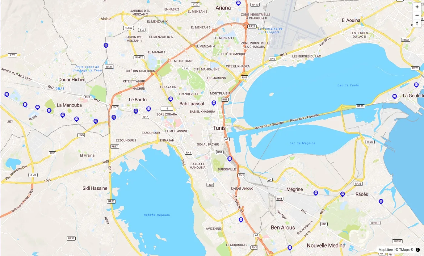Alternative à Google Maps en Tunisie : TMaps comparé
