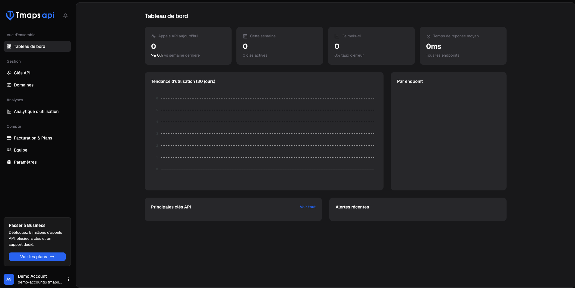 Dashboard overview with the sidebar (API Keys, Authorized Domains, Usage, Billing).